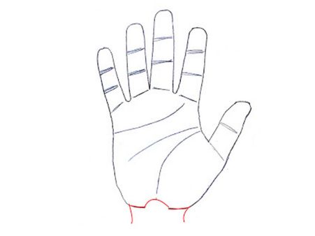 ৩. ব্রেসলেট লাইন: