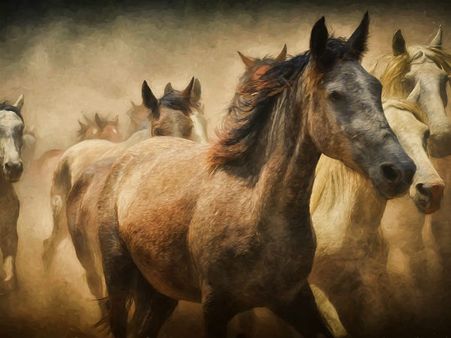 ৭. সাতটি ঘোড়া: