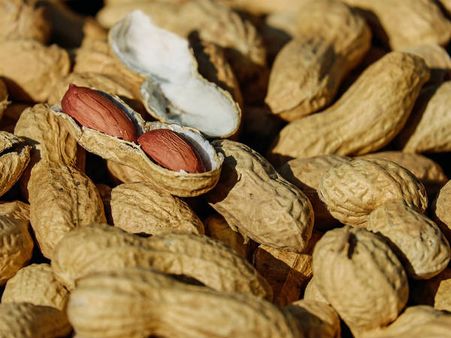 ১. প্রতিদিন বাদাম খাওয়া জরুরি: