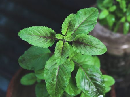 ১. পাপের শাস্তি পাওয়া থেকে রক্ষা মেলে: