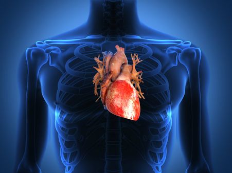 ১০. হার্টের স্বাস্থ্যের উন্নতি ঘটে: