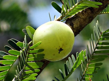 ২. ত্বকের বয়স কমবে: