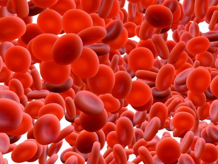 ২. অ্যানিমিয়ার মতো রোগের প্রকোপ কমে: