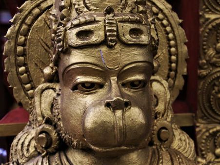 ৩. গুড লাক রোজের সঙ্গী হয়ে ওঠে: