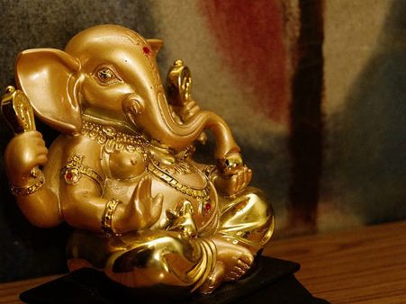 ৩. অর্জুন গাছের পাতা: