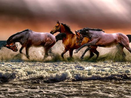 ৪. গুড লাক রোজের সঙ্গী হয়ে ওঠে: