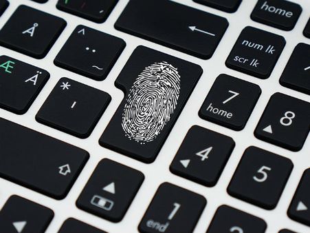 ৫. দা রেডিয়াল লুপ: