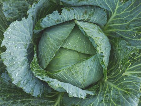 ৪. নিমেষে পুষ্টির ঘাটতি দূর হয়: