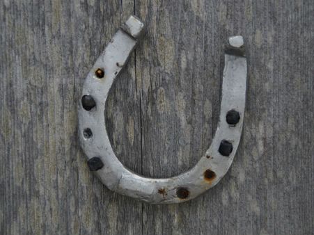 ৫. ঘোড়ার খুরের নাল দিয়ে তৈরি আংটি: