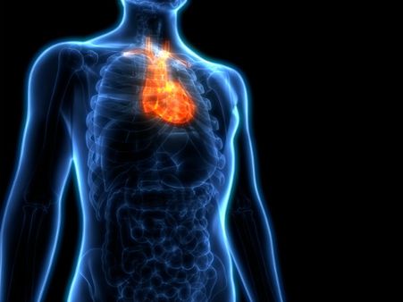 ৬. হার্টের স্বাস্থ্যের উন্নতি ঘটে: