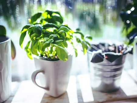 ৭. পুজোর কাজে লাগে: