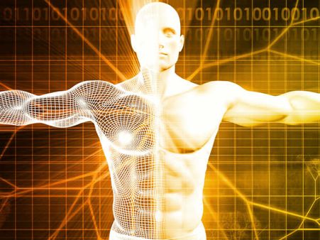 ৩. শরীরকে চাঙ্গা রাখে: