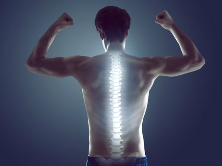 ৮. হাড় শক্তপোক্ত হয়: