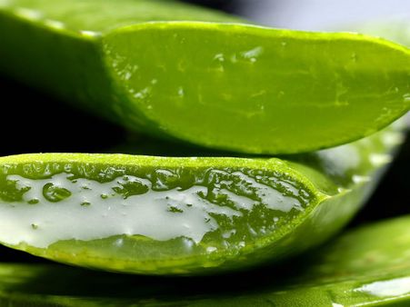 ৯. অ্যালো ভেরা, সঙ্গে হলুদ: