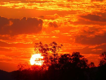 ৯.ধনুরাশি: