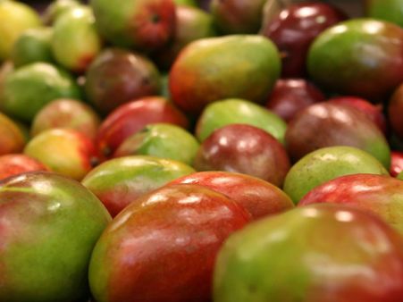 ৯. ইউরিক অ্যাসিডকে নিয়ন্ত্রণে রাখে: