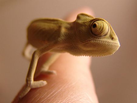 ২.পায়ে ছোঁয়া লাগলে: