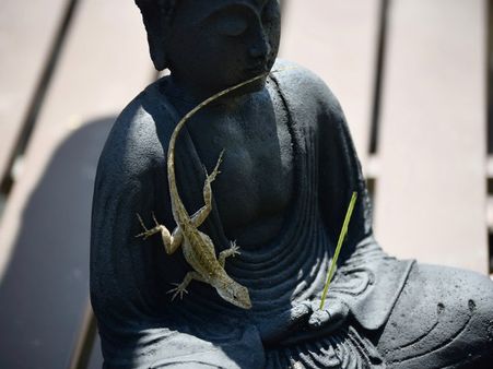 ৬. অর্থনৈতিক উন্নতি ঘটে: