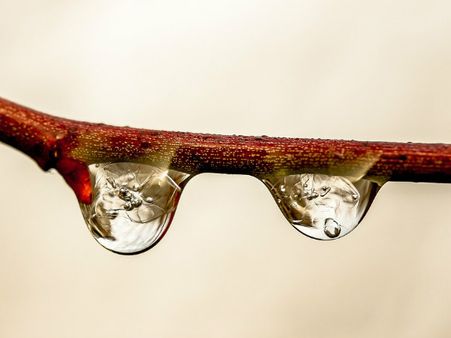 ৩. বাড়ির ড্রেন: