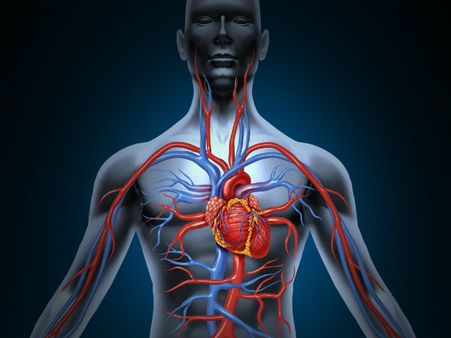 ৬. মেটাবলিজম রেট মারাত্মকভাবে কমে যায়: