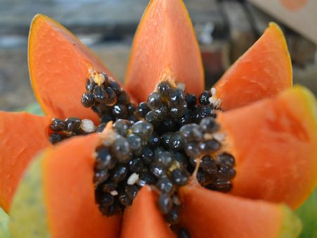 ৯. পেঁপে: