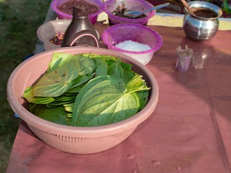 ৬. অবসাদ কমাতে এবং মন ভাল করতে কাজে আসে: