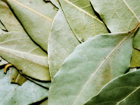 ৭. রেসপিরেটরি সিস্টেমের কর্মক্ষমতা বৃদ্ধি পায়: