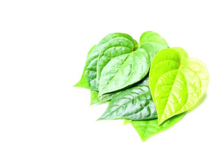 ৯. গলা ব্যথা কমায়: