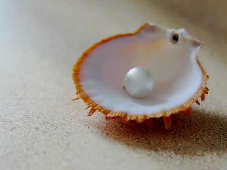 ৪. মুক্ত: