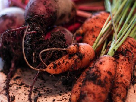 ৪. লিভার ফাংশনের উন্নতি ঘটে: