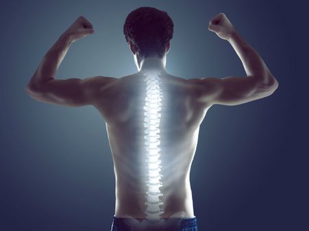 ১. হাড়ের স্বাস্থ্যের উন্নতি ঘটে: