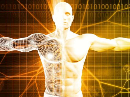 ২. শরীরকে বিষমুক্ত করে: