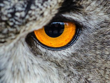 ৪. কু-দৃষ্টির কারণে কোনও ক্ষতি হয় না: