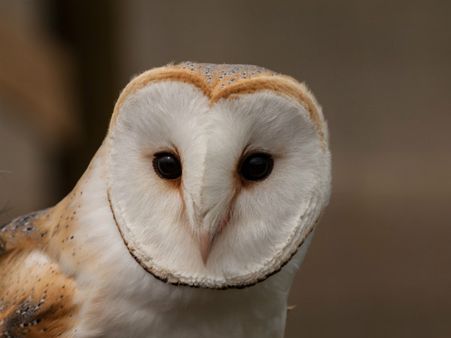 ১. খারাপ সময় কেটে যায়: