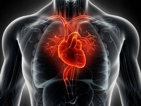 ১০. হার্টের স্বাস্থ্যের উন্নতি ঘটে: