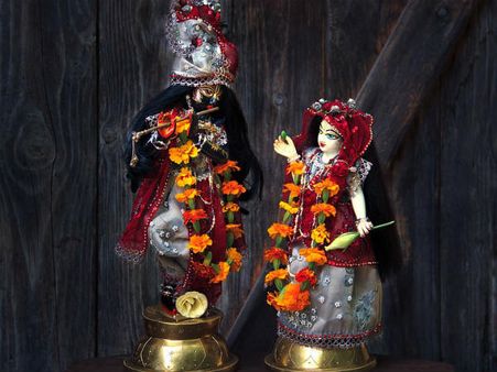 ৫. সুখের সন্ধান মেলে: