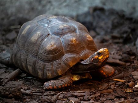 নেগেটিভ এবং পজেটিভ এনার্জি: