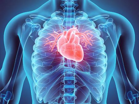 ২. হার্টের স্বাস্থ্যের উন্নতি ঘটে: 