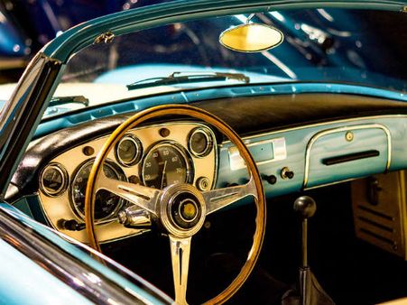 কেমন ধরনের কচ্ছপ কিনতে হবে?