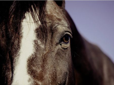 ৩. পরিবারে সুখ-শান্তি বজায় থাকে: