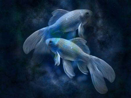 ৪. কর্কট, বৃশ্চিক এবং মীনরাশি: