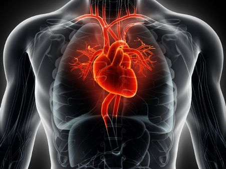 ৪. হার্টের স্বাস্থ্য়ের উন্নতি ঘটে: