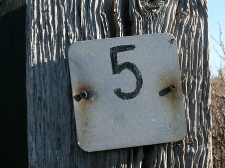 নম্বর ৫: