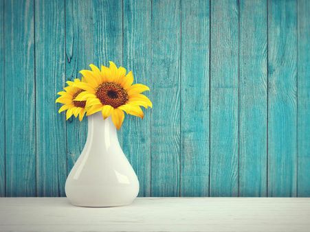 ৮. যাদের জন্ম ৮,১৭ এবং ২৬ তারিকে: