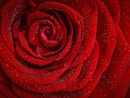 ৯. যাদের জন্ম ৯, ১৮ এবং ২৭ তারিখে: