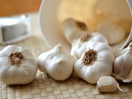 ৯. ক্ষতের চিকিৎসায় কাজে আসে: