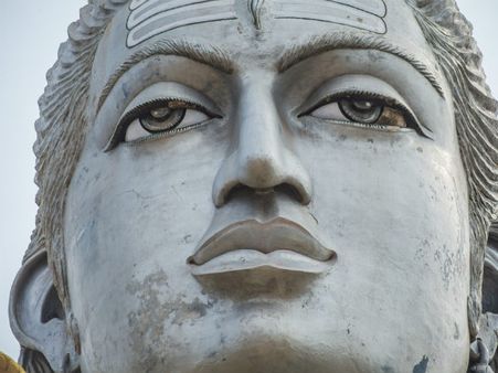 ২. পরিবেশ শুদ্ধ হয়ে ওঠে: