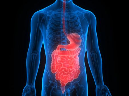 ২. লিভারের স্বাস্থ্যের উন্নতি ঘটে: