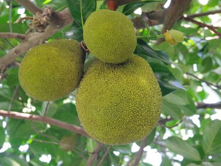 ১০. ত্বকের সৌন্দর্য বাড়ে: