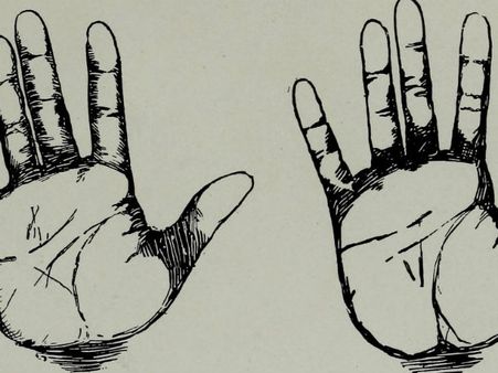 ৭. দুটি ভাগ্য রেখা: